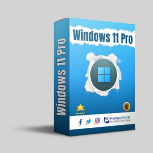 Windows 11 Professional License key
